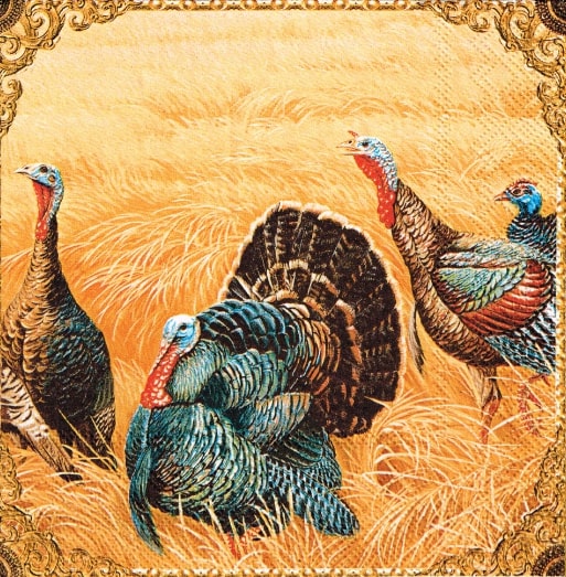 156
