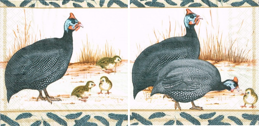 177