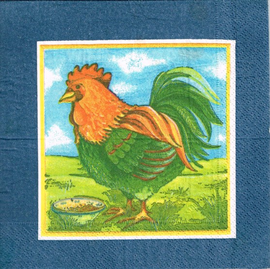 255