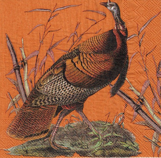 294