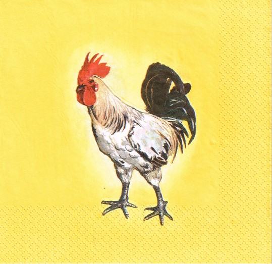 310
