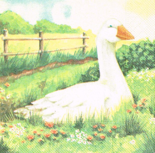 314