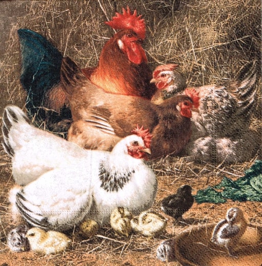 52