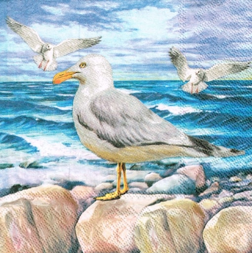 250