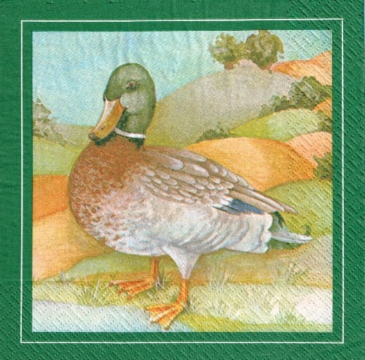 269