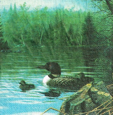 335