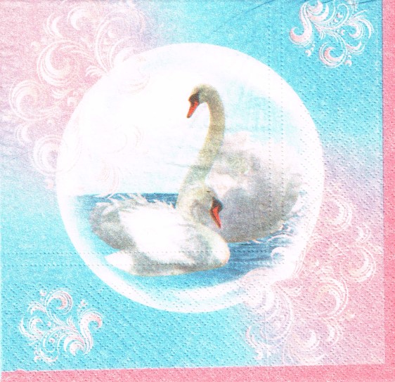 519