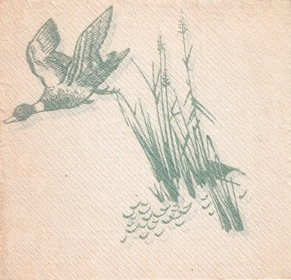 592