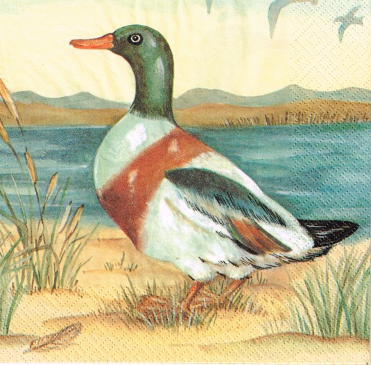 656