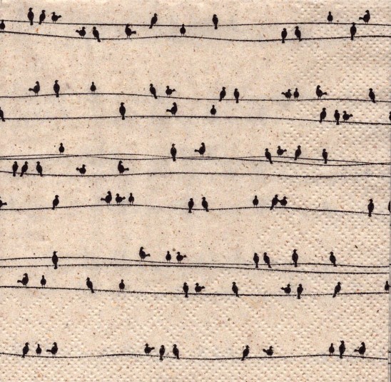 729