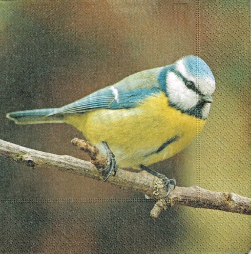 75
