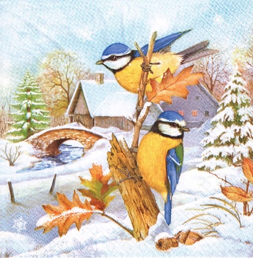 79