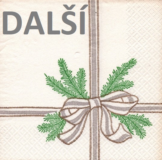 NÁZEV 4