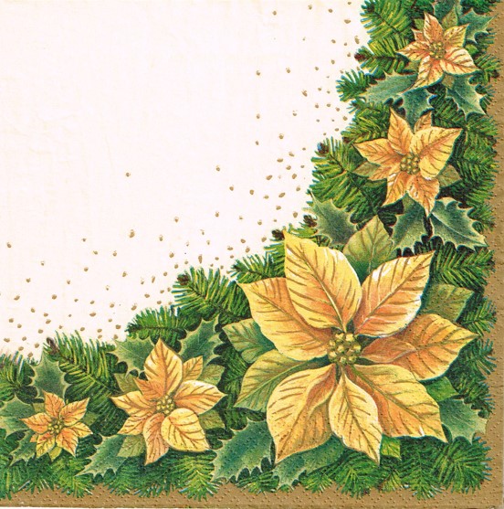251