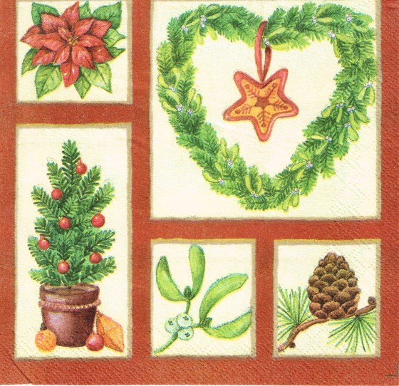 223