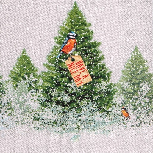 28