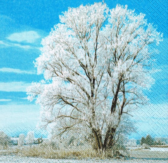 196