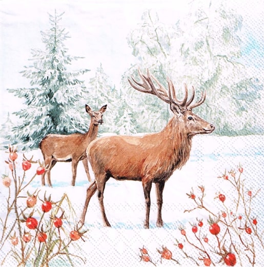 50