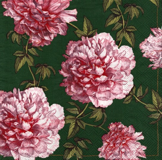 1003