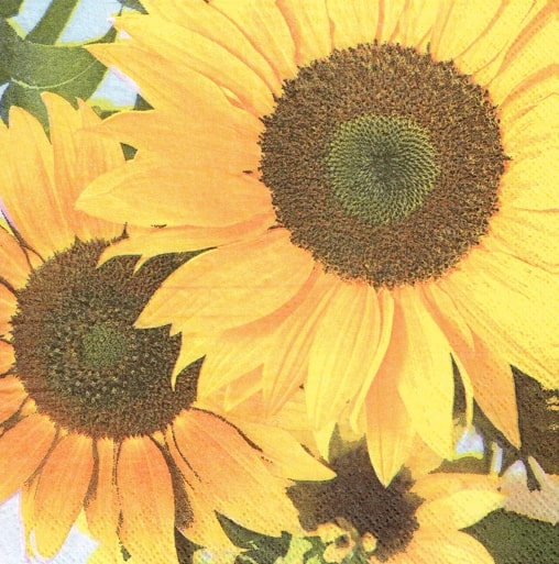 27