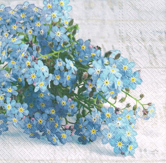 511