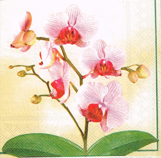 514