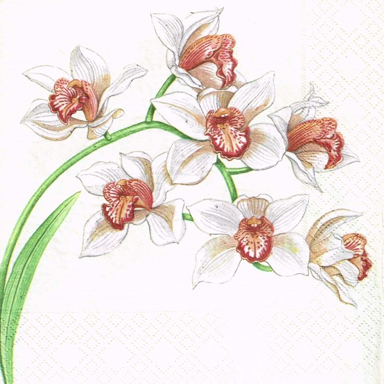 515