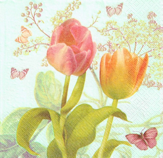 523