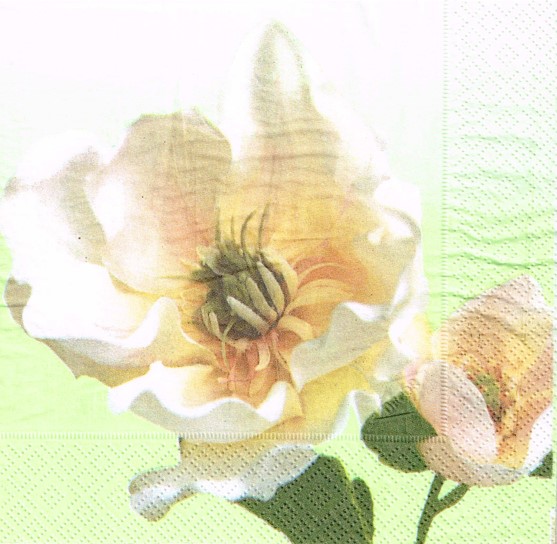 531