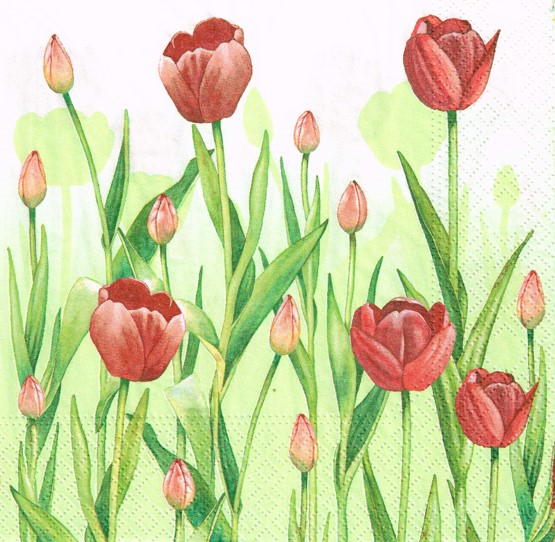 592