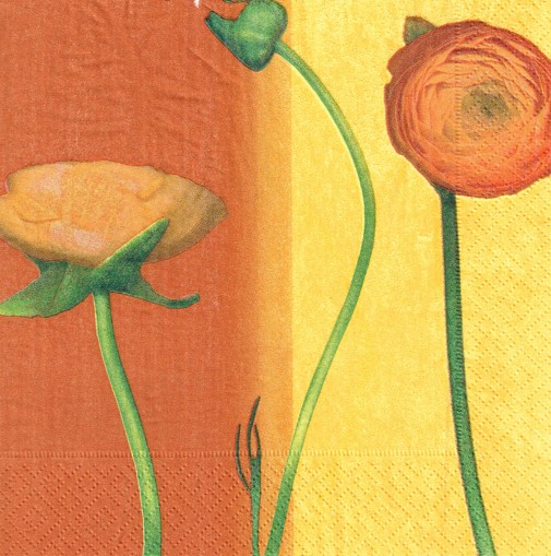 61