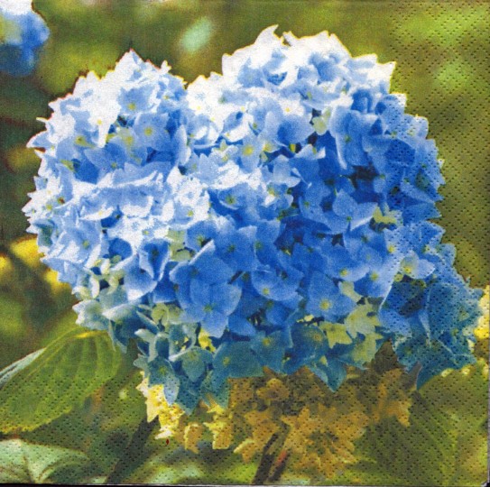 634