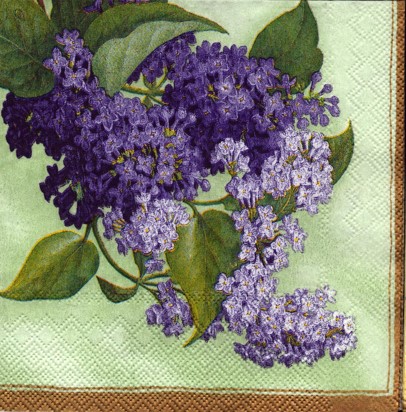 645malý