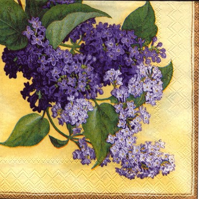 646malý