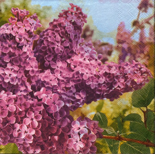 648