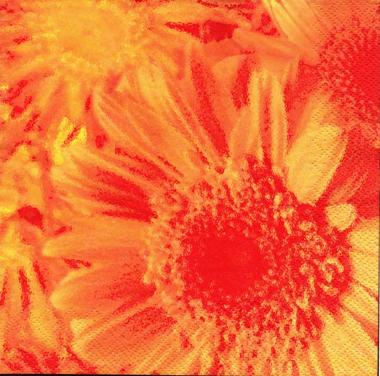 800