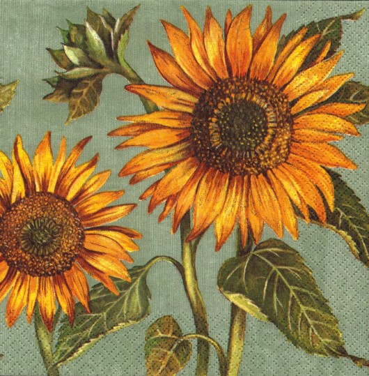 877