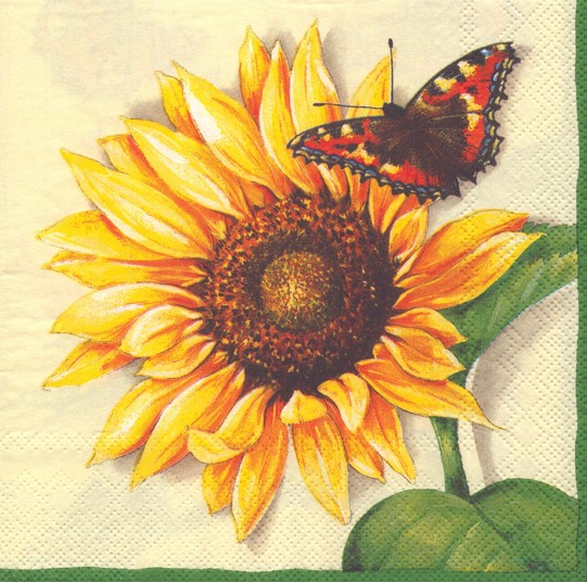 880