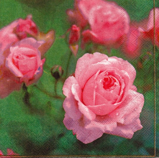 979