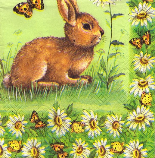 1646