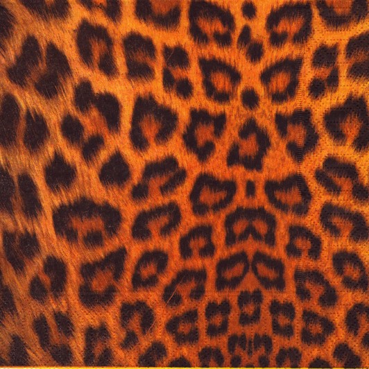 1741