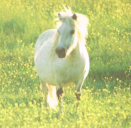 475
