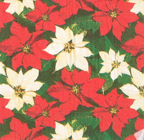 1698